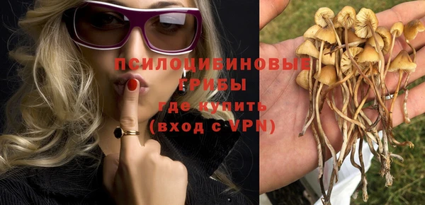 мдпв Беломорск