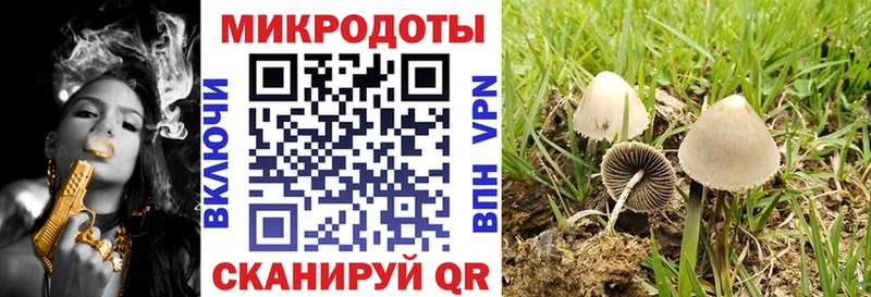 Галлюциногенные грибы Cubensis  продажа наркотиков  Волчанск 